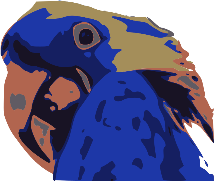 Blue Macaw Clip Arts - Cartoon - Png Download (2400x3394), Png Download