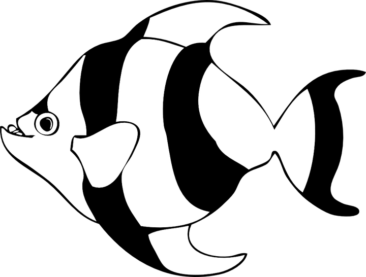 Tuna Clipart Black And White - Fish Clipart Black And White - Png Download (720x546), Png Download