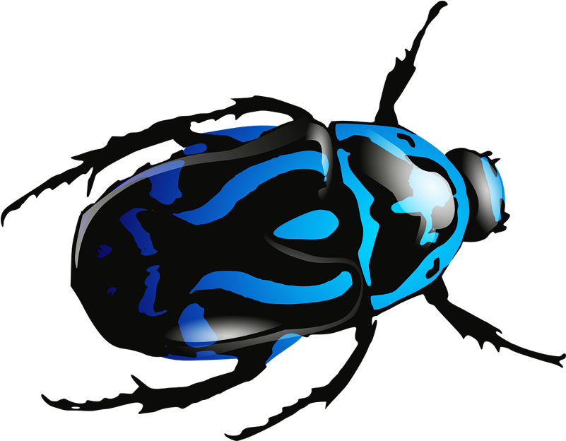 Blue Beetle Png Image - Beetle Clipart Transparent Png (800x800), Png Download