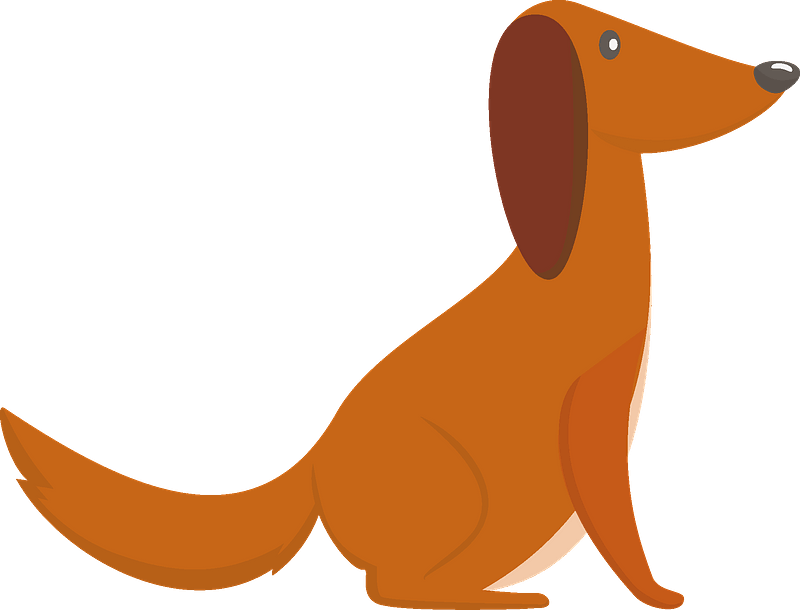 Dog Clipart - Dachshund - Png Download (800x610), Png Download