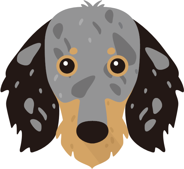 Irish Red And White Setter Nose Clipart (600x600), Png Download