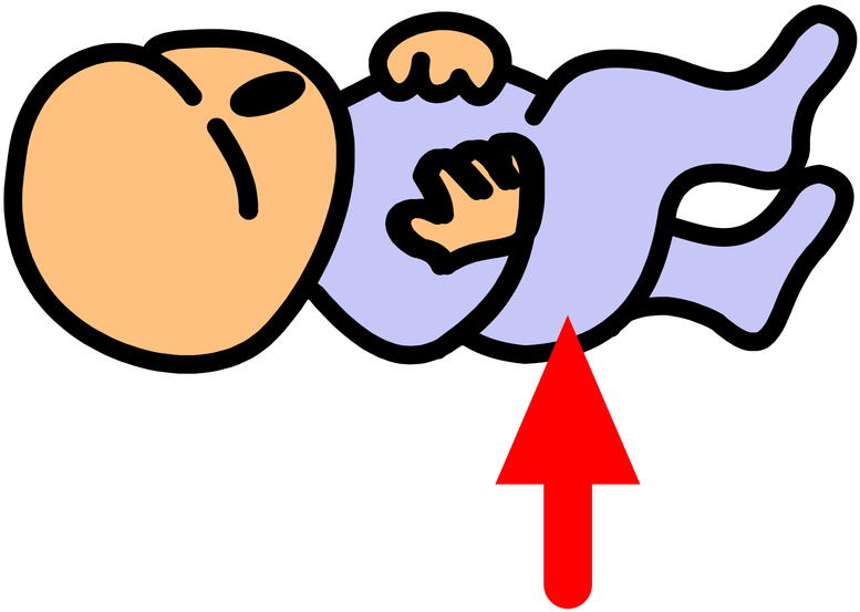 Picture Clipart (800x800), Png Download