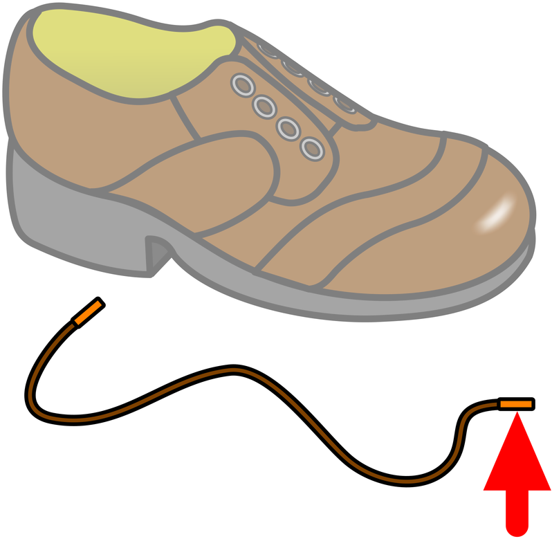 Picture Clipart (800x800), Png Download