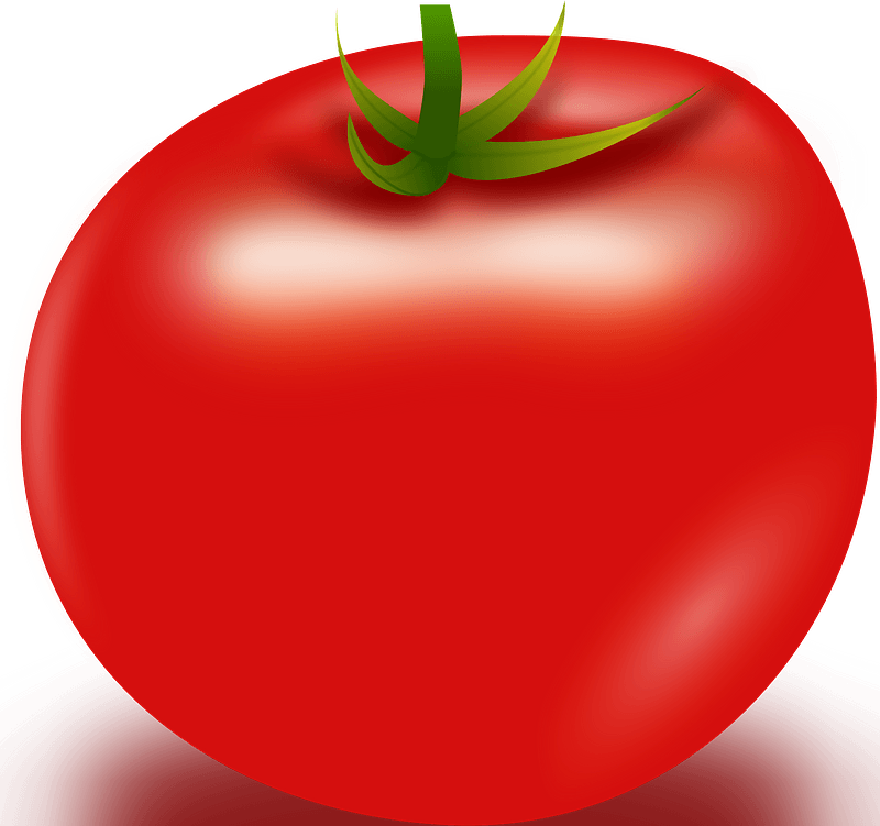Vector Tomato Clipart - Tomato Png Transparent Png (800x751), Png Download