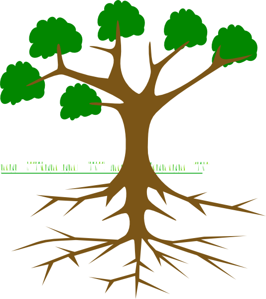 Clip Art Nature Photos - Tree Clipart With Roots - Png Download (534x599), Png Download