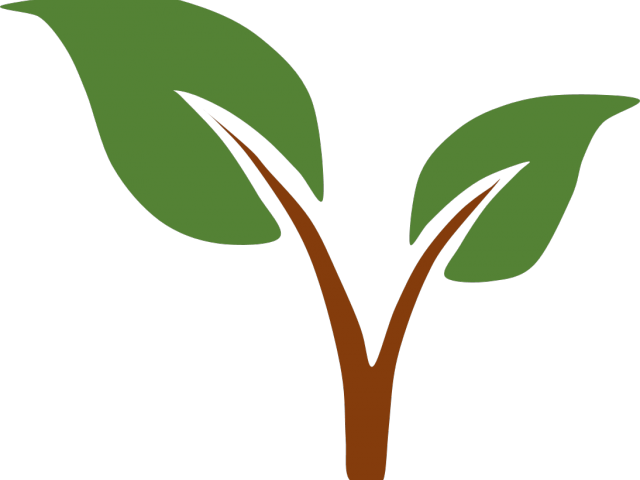 Environment Clipart Transparent - Png Download (640x480), Png Download
