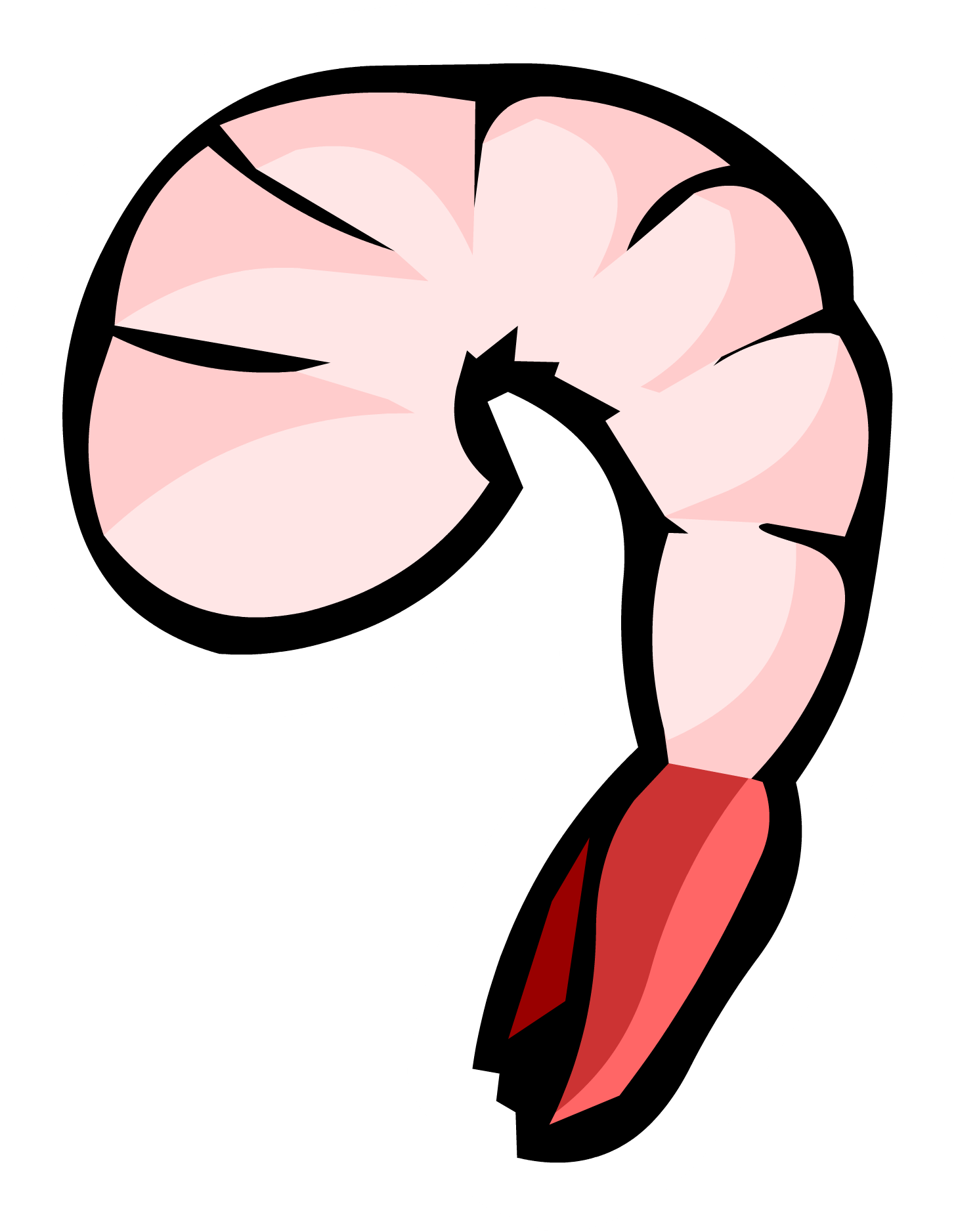 28 Collection Of Shrimp Clipart Png - Shrimp Clipart Transparent Png (1456x1877), Png Download
