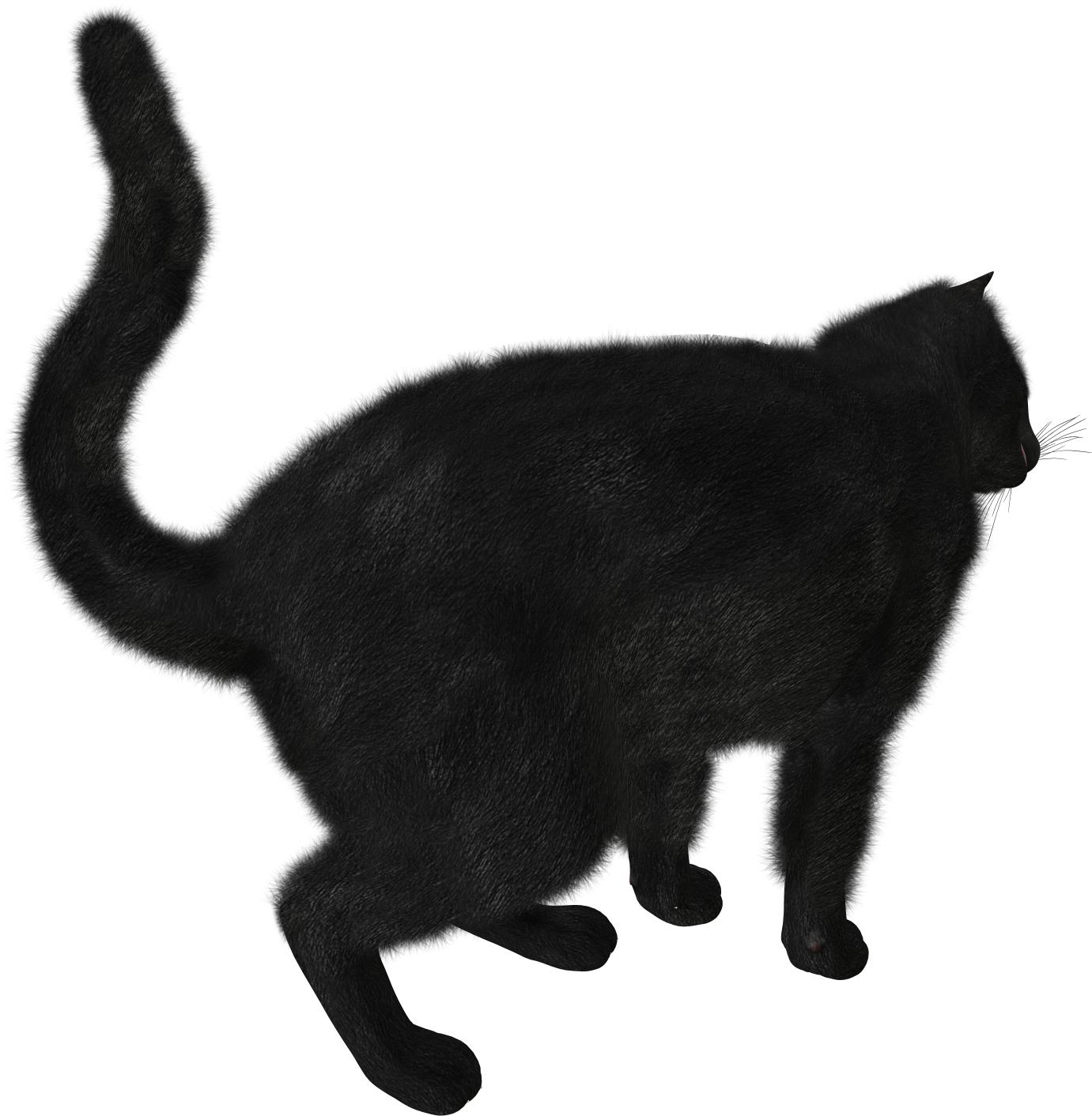 Black Cat Kitten - Black Cats Png Transparent Background Clipart (1490x1520), Png Download