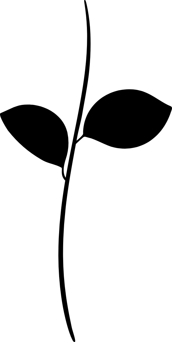 Clip Art - Png Download (550x1095), Png Download