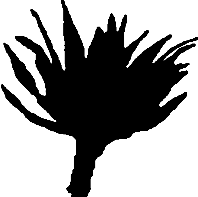 Illustration Clipart (656x652), Png Download