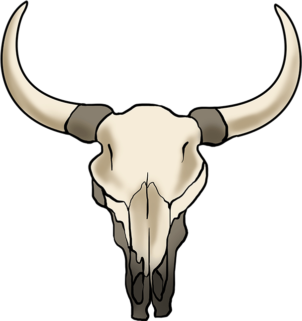 Download How To Draw Bull Skull - Cow Skull Drawing Easy Clipart