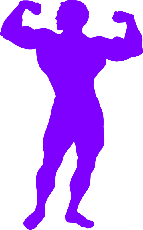 Bodybuilder Muscles Male - Muscle Man Silhouette Png Clipart (500x807), Png Download