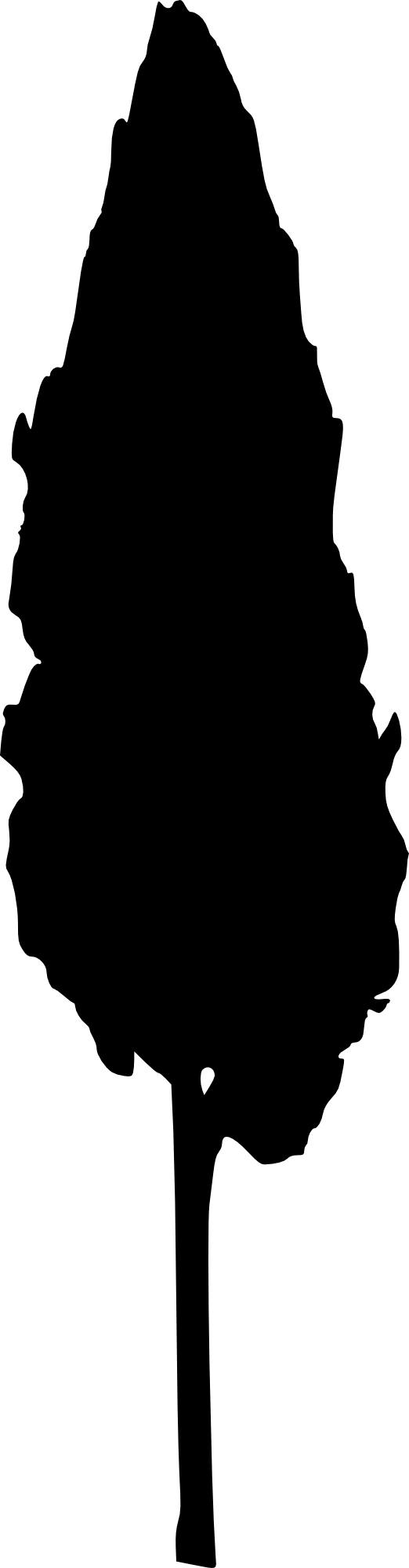 Transparent Truffula Tree Clipart - Clip Art - Png Download (522x2000), Png Download