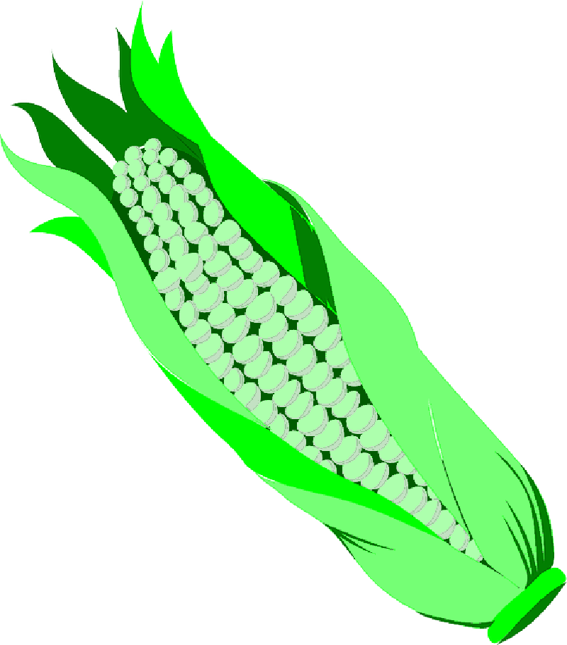 Food, Cartoon, Corn, Vegetables, Cob, Gran, Vegetable - Vegetable Clip Art - Png Download (800x911), Png Download
