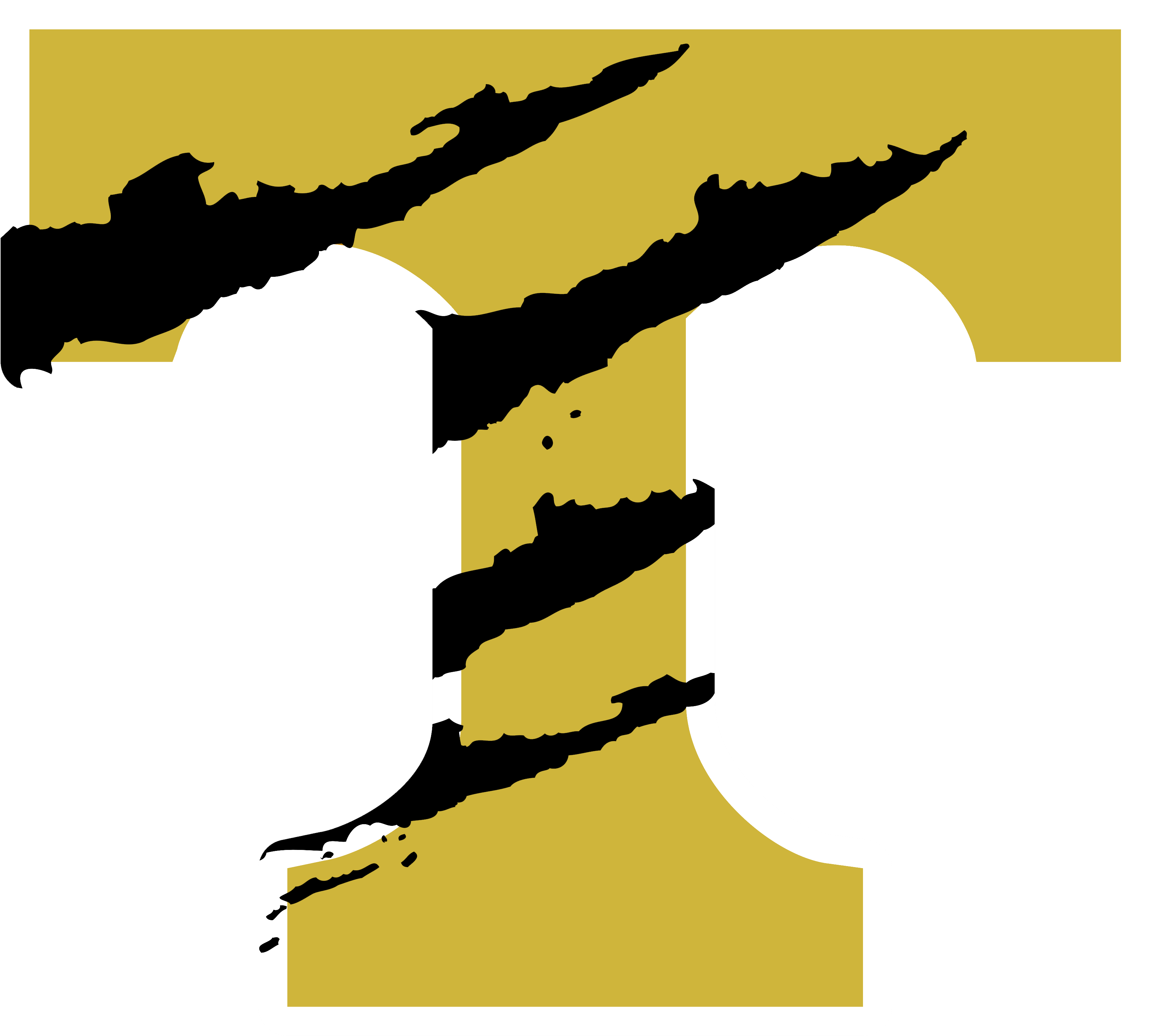 Trumann Wildcats Logo Clipart (3600x3600), Png Download