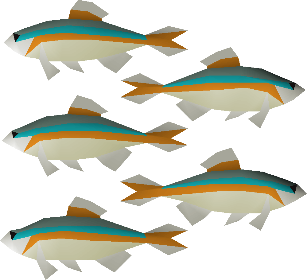 Minnow Png Clipart (1000x912), Png Download