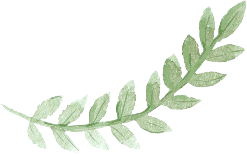 Sydney Leaves Watercolor Green Pancake Brunch Painting - Greenery Leaf Watercolor Clipart - Png Download (794x497), Png Download
