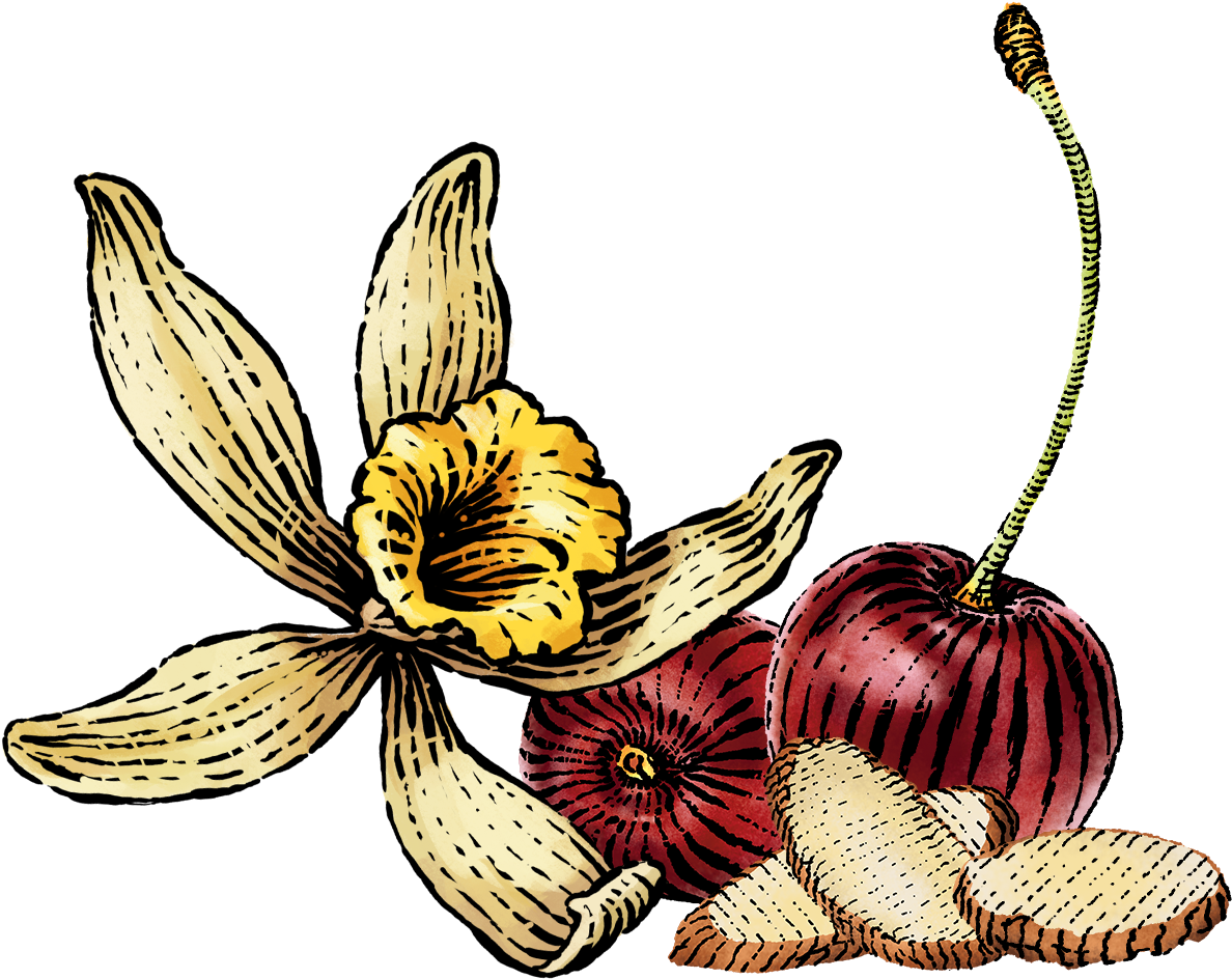 Flour Clipart Plain Flower - Png Download (1200x1050), Png Download