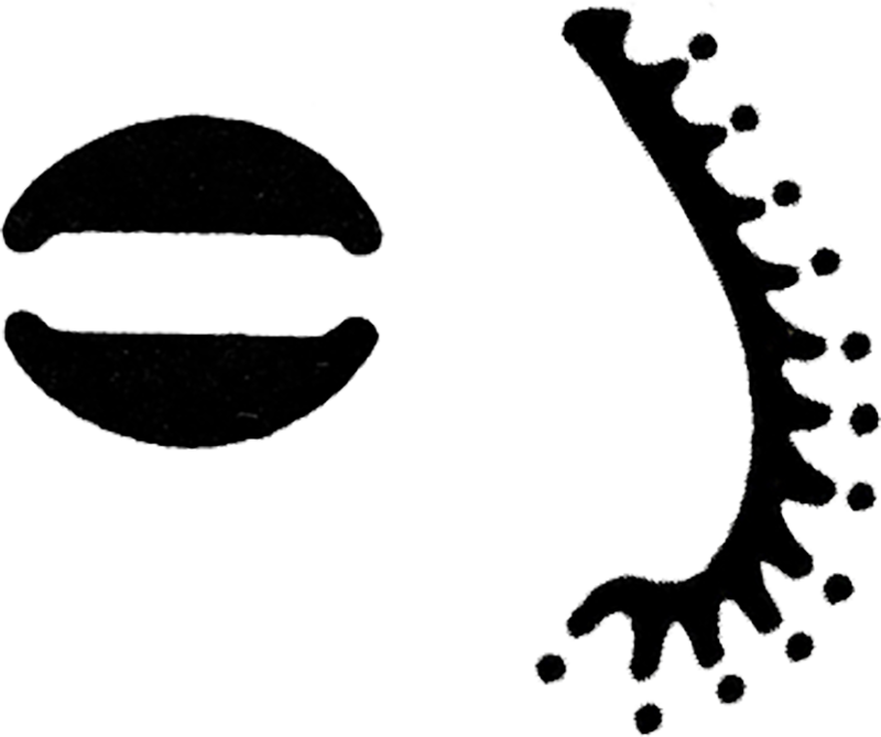 Clip Art - Png Download (800x669), Png Download