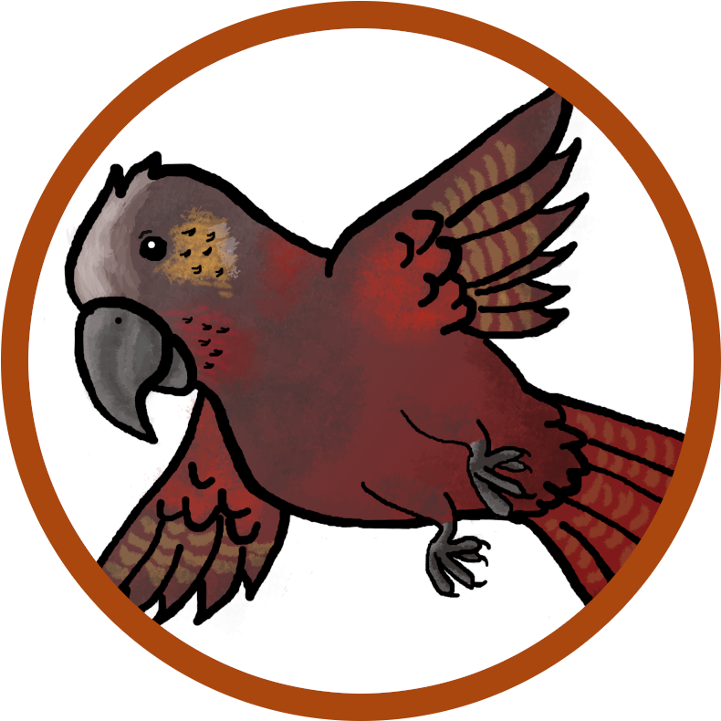 Clip Art - Png Download (985x800), Png Download