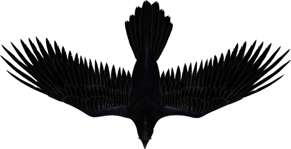 Illustration Clipart (1000x511), Png Download