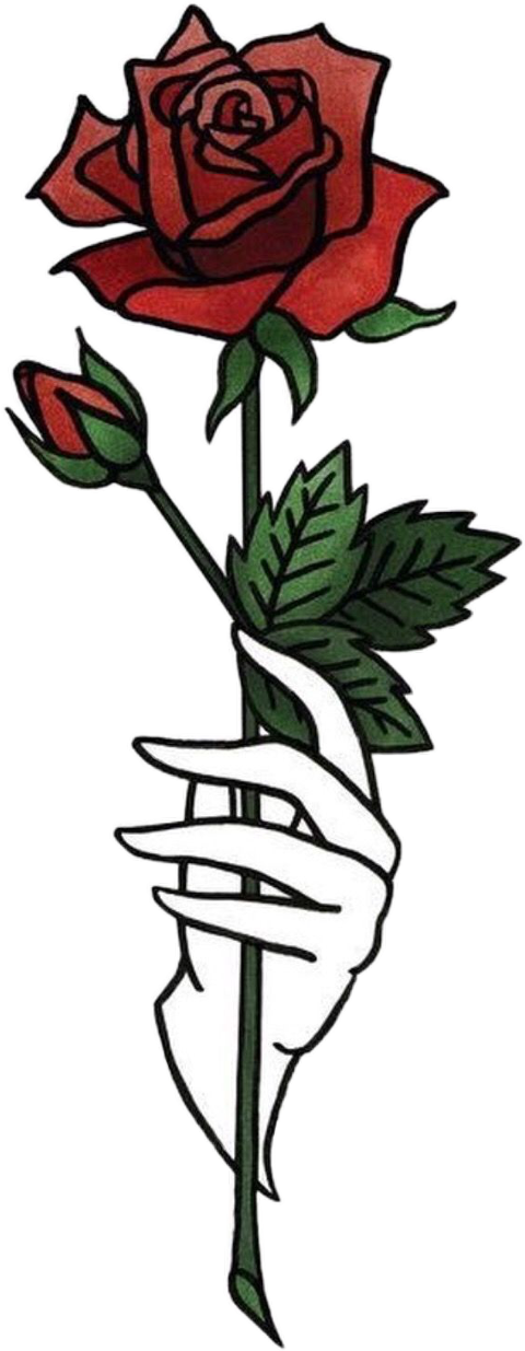 Jonghyun Rose Png Clipart (480x1235), Png Download