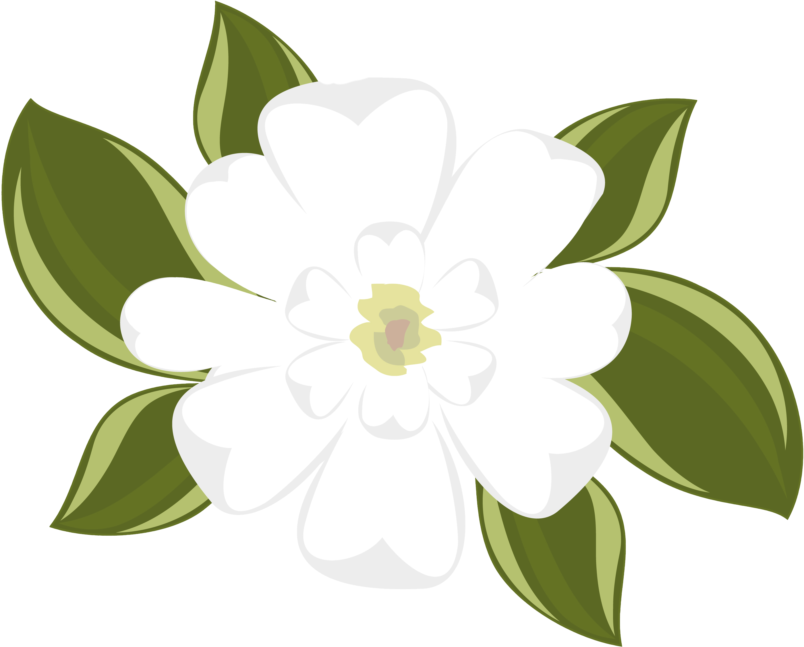 Magnolia Clipart No Background - Magnolia Flower Clipart - Png Download (2800x2254), Png Download