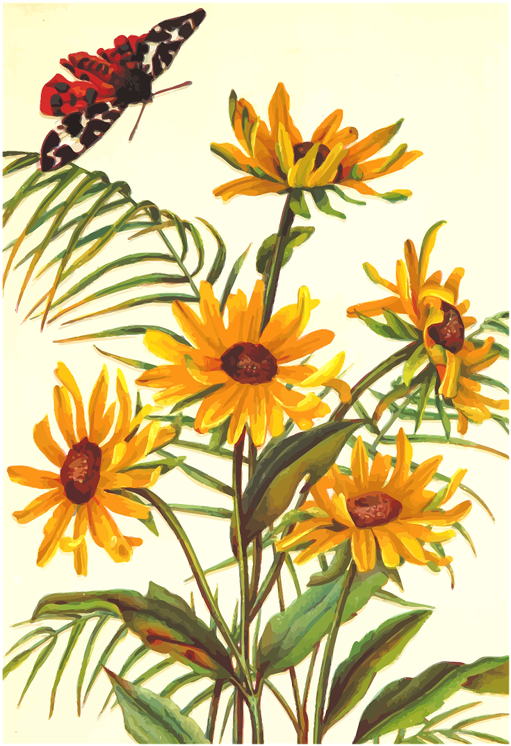Flower Clipart (874x1280), Png Download