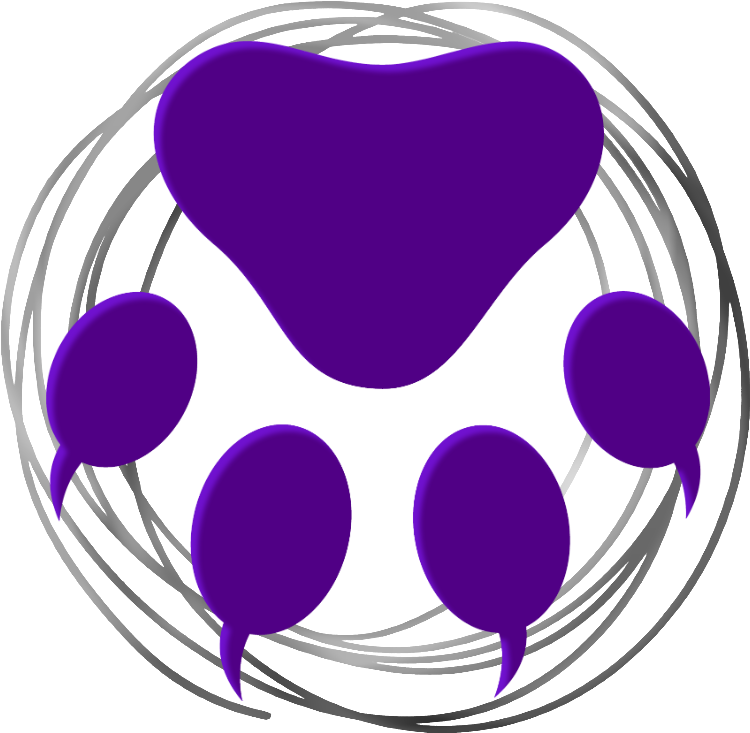 Circle Clipart (800x798), Png Download