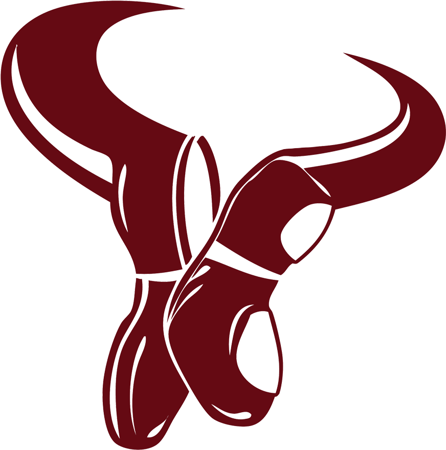 High School Dance Team Clipart Transparent Sspdt Transparent - South Saint Paul Dance Team - Png Download (903x910), Png Download