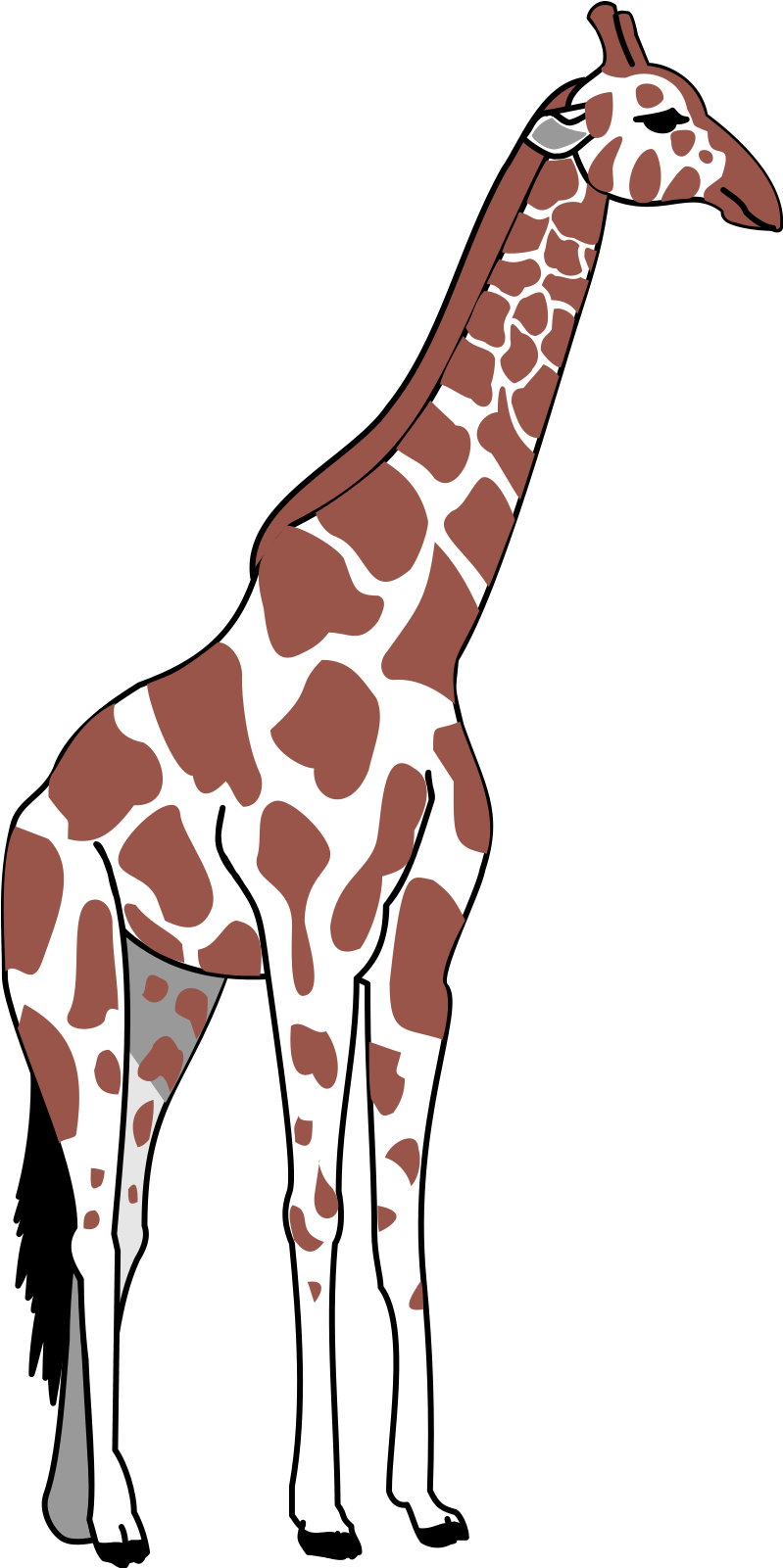 Tall Clipart Tall Animal - Tall Clipart Png Transparent Png (399x800), Png Download