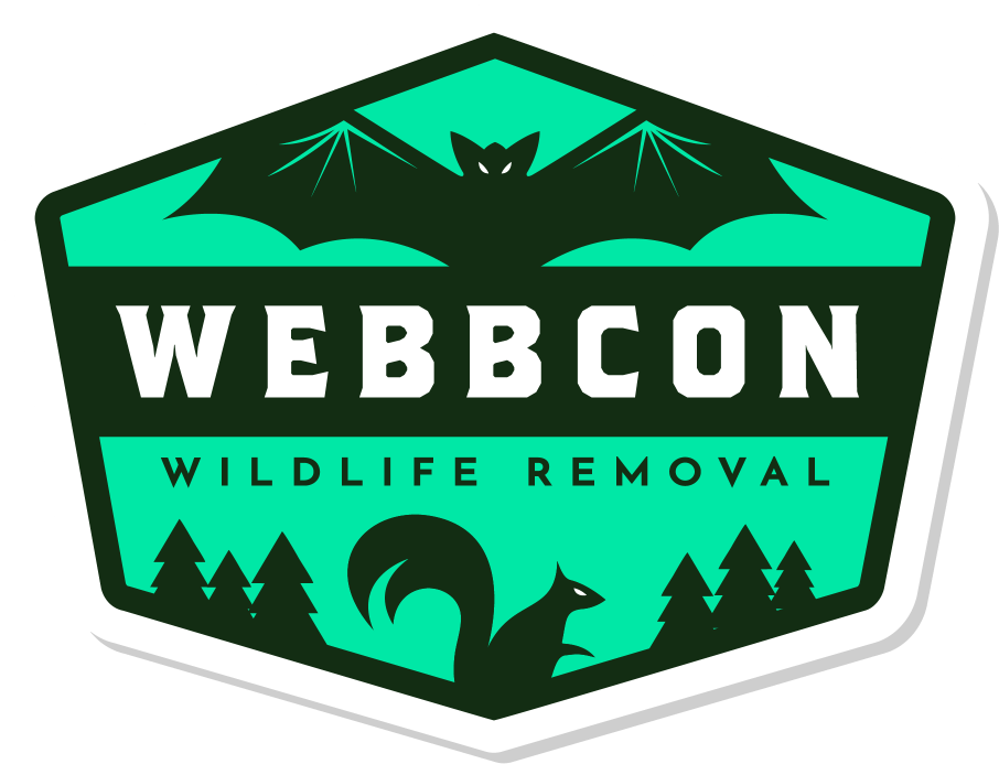 Emblem Clipart (954x713), Png Download