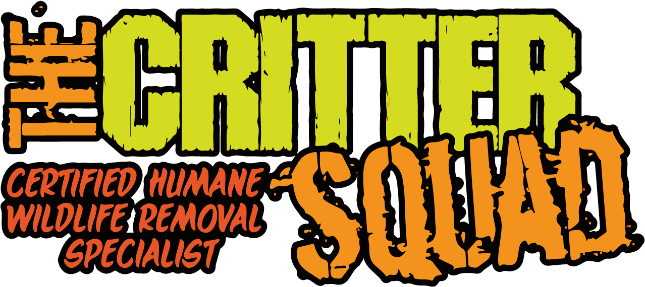 Calligraphy Clipart (1366x768), Png Download