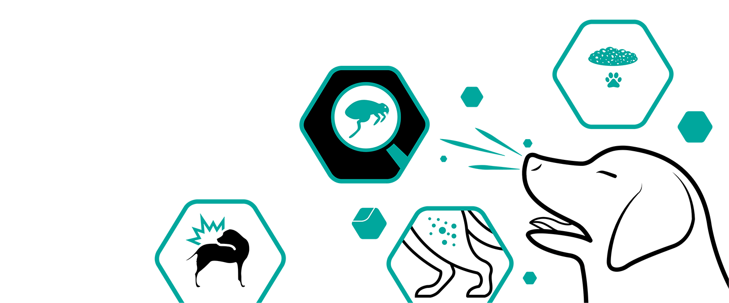 Clip Art - Png Download (1440x599), Png Download