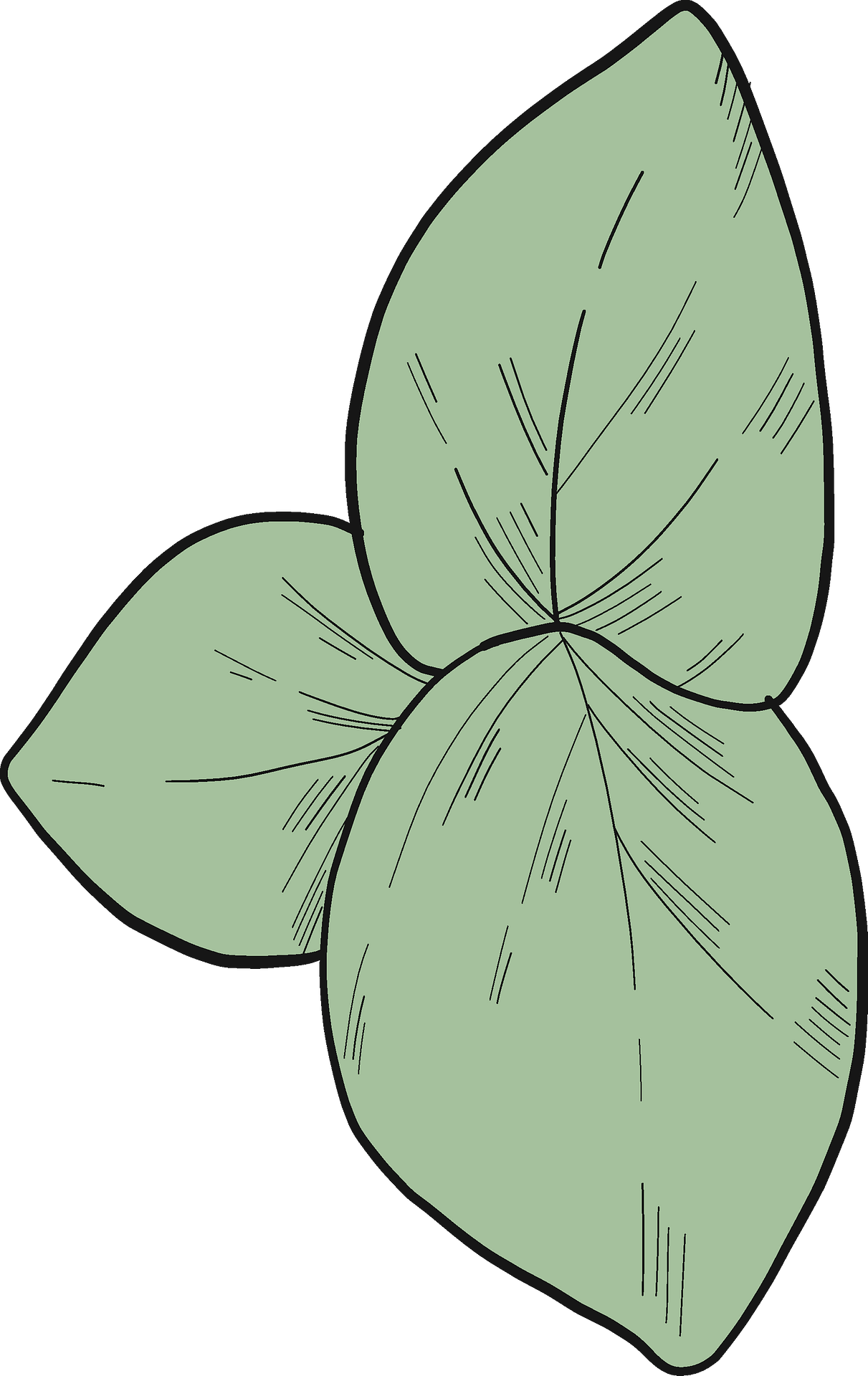 Diagram Clipart (1211x1920), Png Download