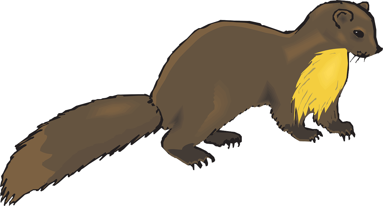 European Pine Marten Weasel Otter Mink Clip Art - Mink Clipart - Png Download (1280x688), Png Download