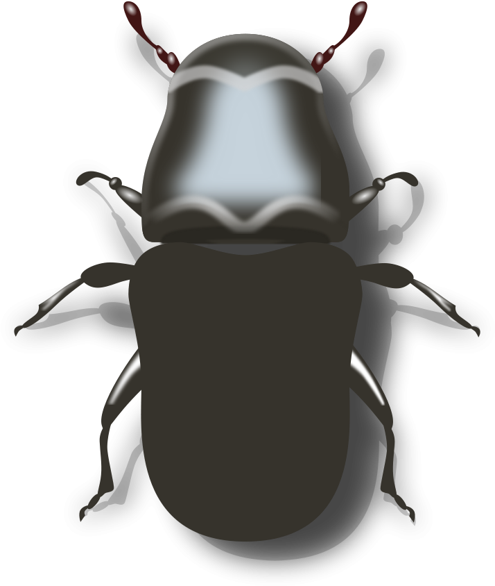 Beetle Clipart Png File Tag List, Beetle Clip Arts - Mountain Pine Beetle Vector Transparent Png (714x844), Png Download