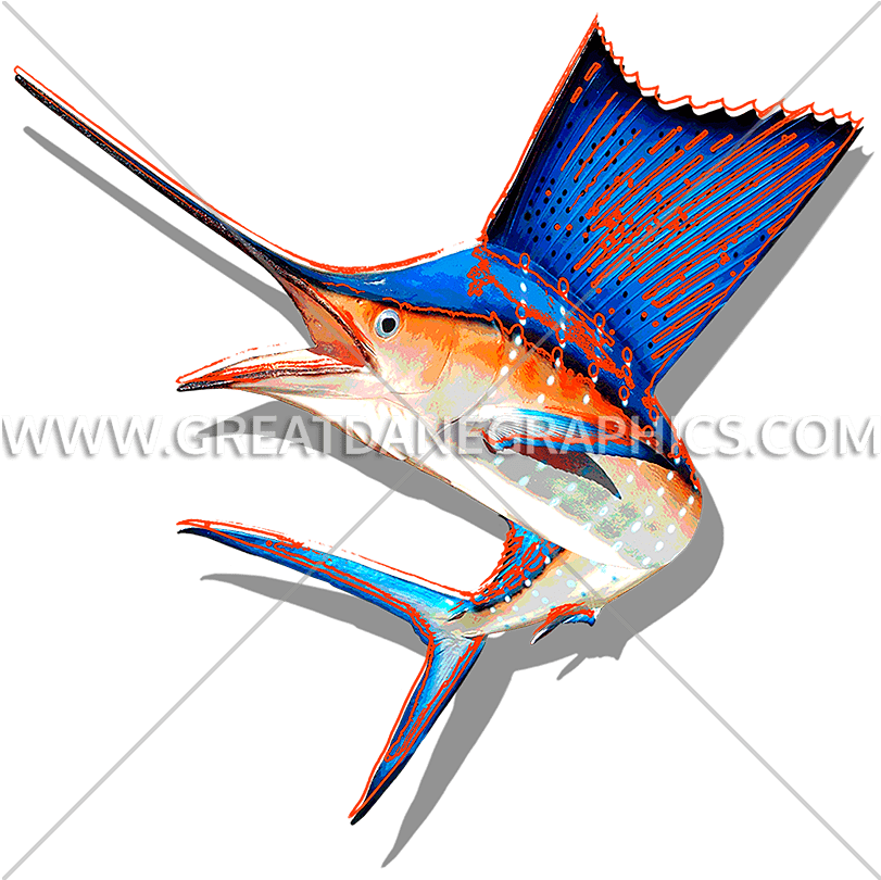 Sailfish Clipart Wahoo - Atlantic Blue Marlin - Png Download (825x809), Png Download