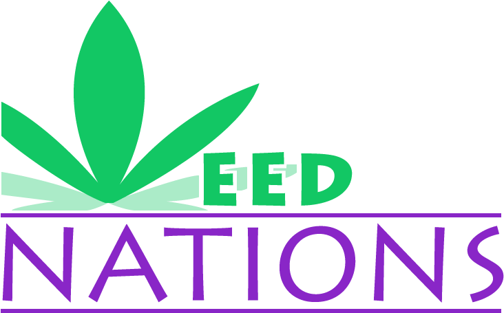 Clip Art - Png Download (800x500), Png Download