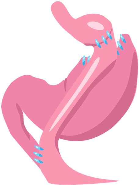 What Are The Tips - Gastric Bypass Clipart (602x606), Png Download