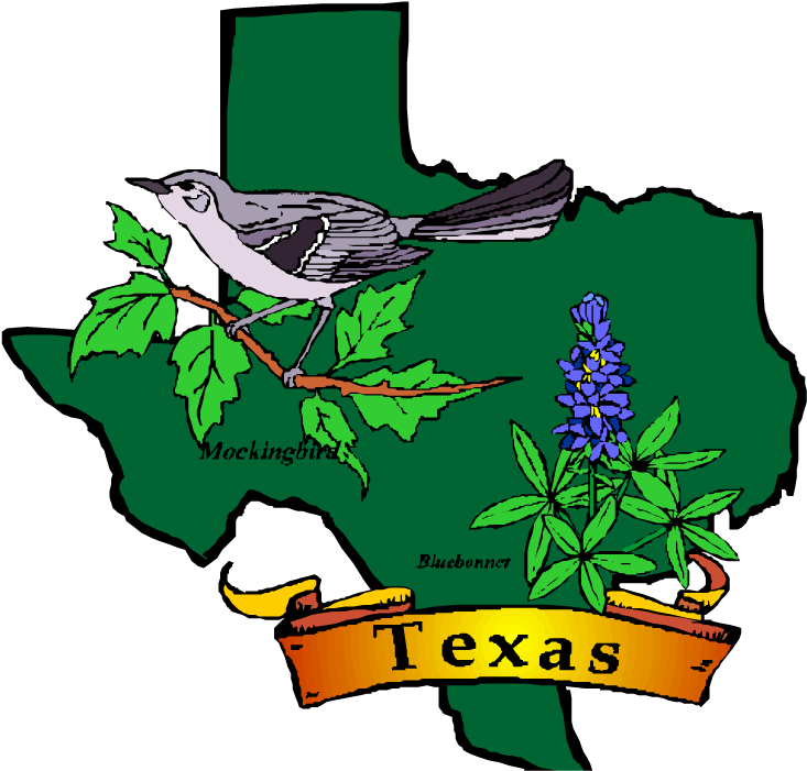 Mental Health Clip Art - Texas State Symbols Clipart - Png Download (750x715), Png Download