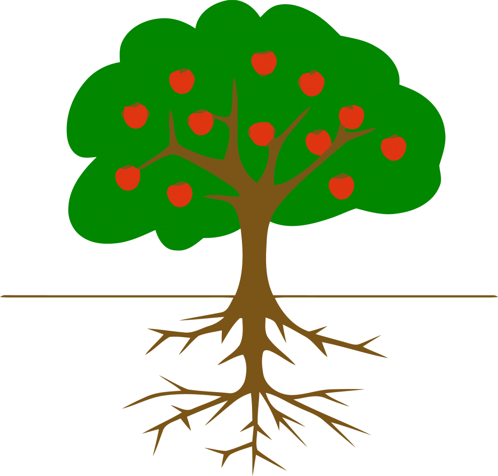 Picture - Tree Clip Art - Png Download (600x575), Png Download