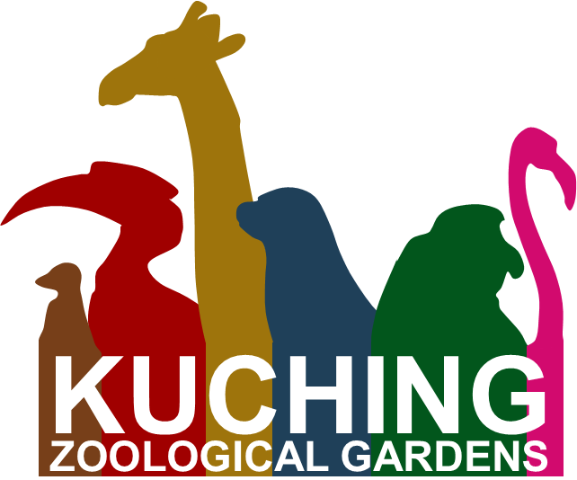 Giraffe Clipart (642x534), Png Download