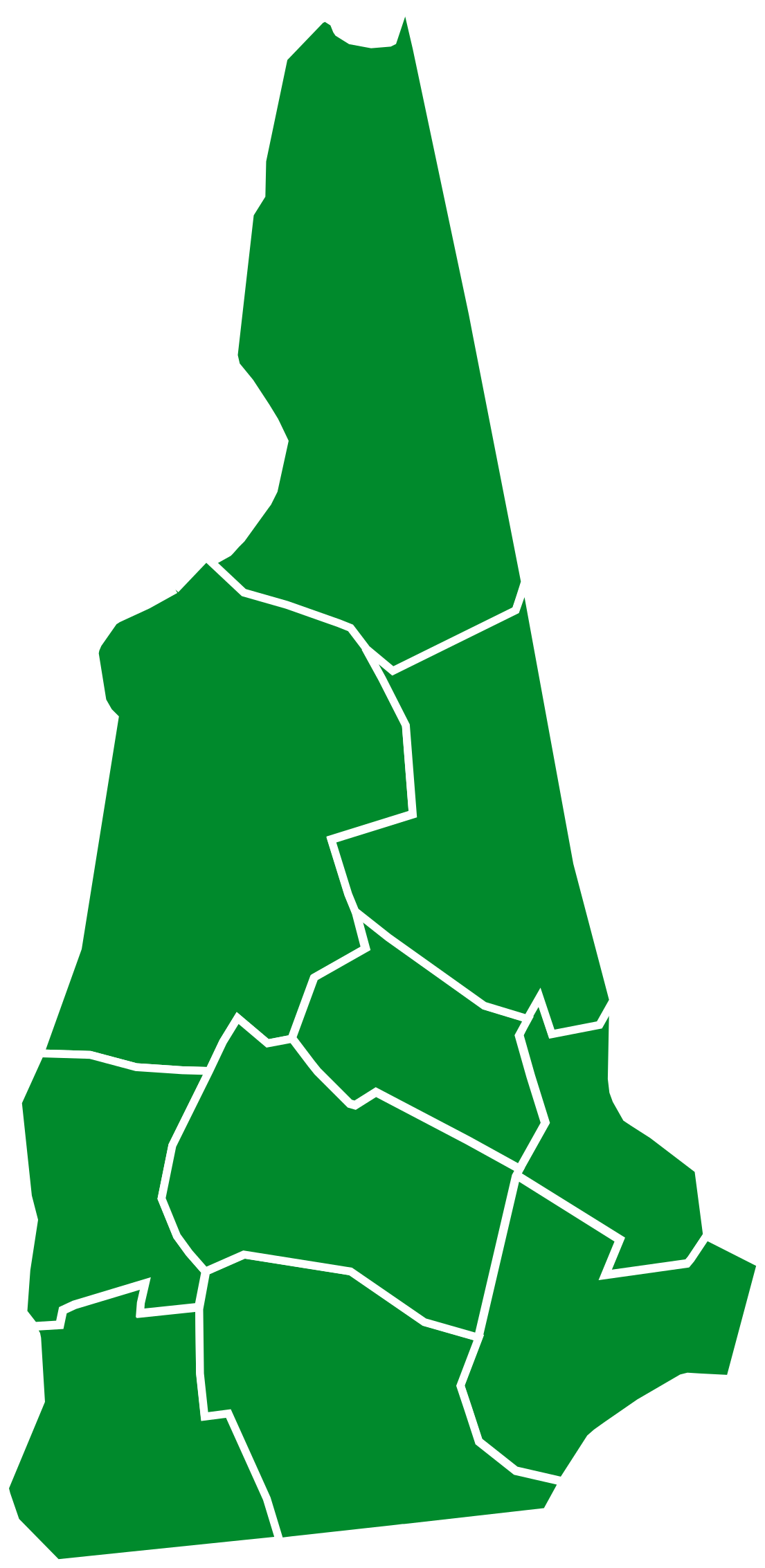 New Hampshire Primary 2020 Results By County Clipart (1200x2456), Png Download