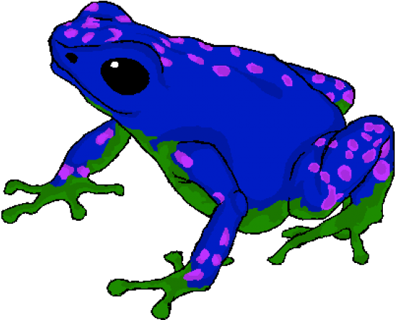 Poison Dart Frog Cartoon Clipart (640x480), Png Download