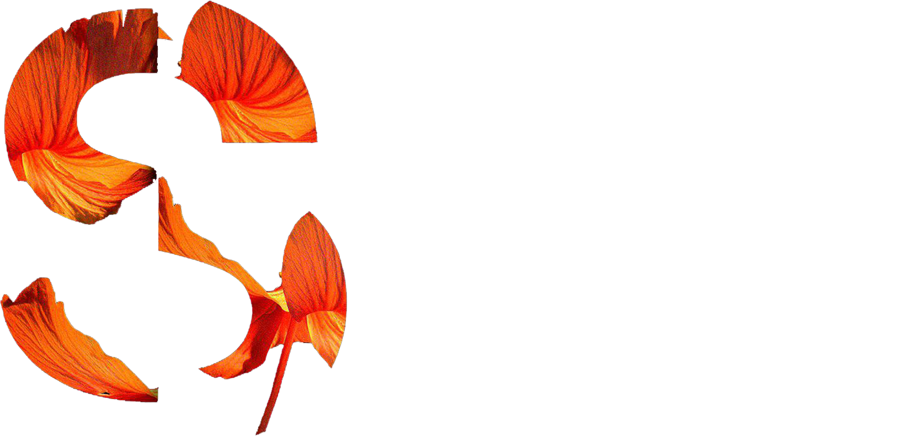 Svg Secret Shop - Illustration Clipart (2000x1062), Png Download