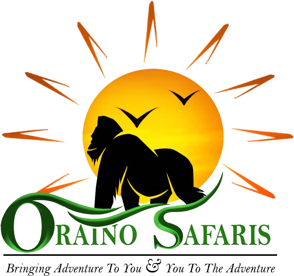 Orainosafaris - Uv Cl Clipart (1034x927), Png Download