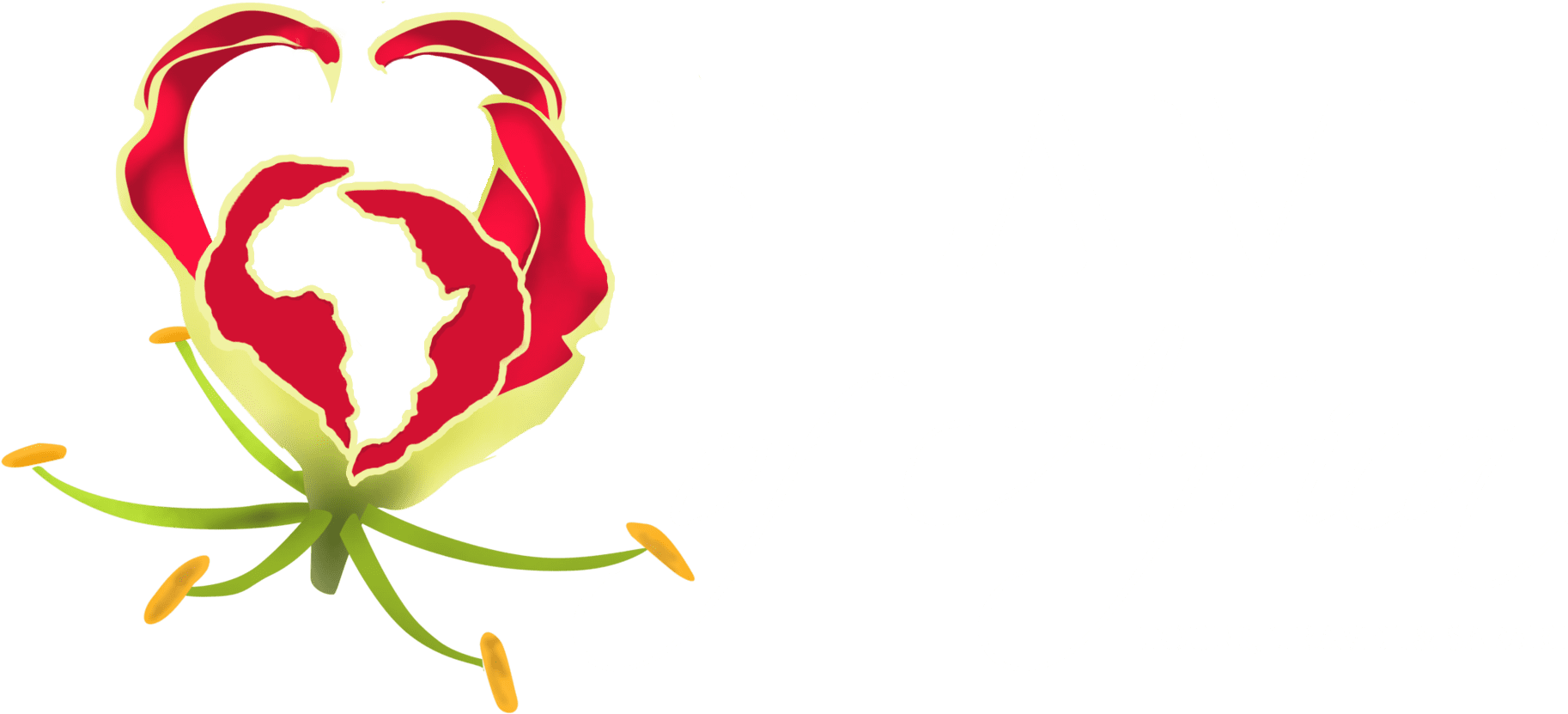 Gloriosa Superba Png Clipart (2005x917), Png Download