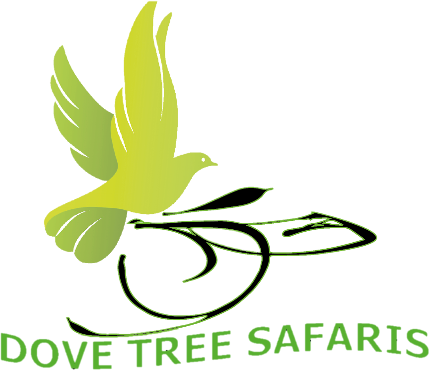 Dove Clipart (938x819), Png Download