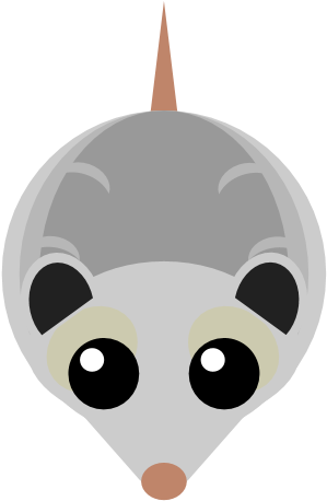 Opossum Art Clipart (960x540), Png Download